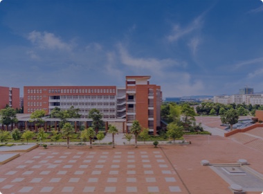 学校系统